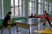 Детское объединение «Настольный теннис»